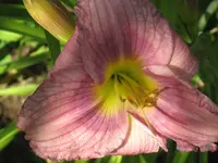 033.webp