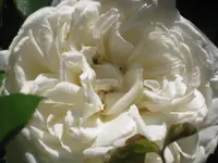 021.webp