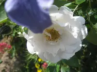 002.webp