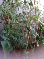11.07.10 005.webp