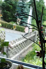 DSC_0873.webp