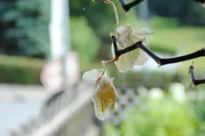 DSC_0872.webp