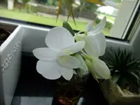 DSCF3457.webp