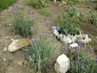 DSCF3464.webp