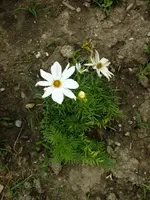 DSCF3465.webp
