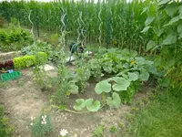 DSCF3478.webp