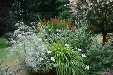 IMG_2139 - Kopie.webp