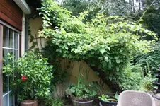 IMG_2151 - Kopie.webp