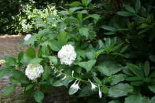 IMG_2161 - Kopie.webp