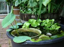IMG_2148 - Kopie.webp