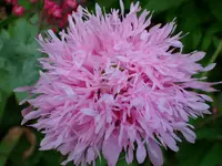 DSCI1049.webp DSCI1049.webp