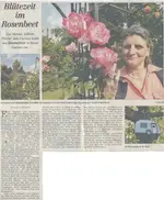 Zeitung 1.webp