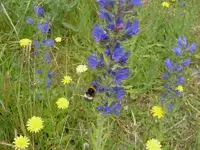 Dezember 2009 768 v.webp