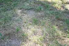 IMG_9274.webp