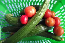 Garten 018.webp