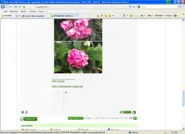 Rotes Kreuz.webp