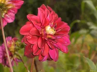 Garten 044.webp