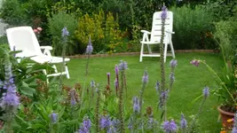 K640_17.Juli 2010 077.webp