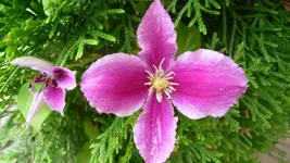 K640_17.Juli 2010 017.webp