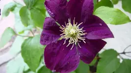 K640_17.Juli 2010 020.webp