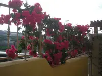 01.11.09 001-400.webp