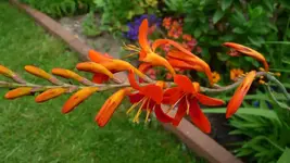 K640_17.Juli 2010 034.webp