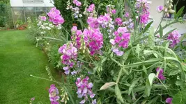 K640_17.Juli 2010 032.webp