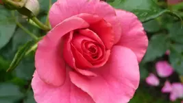 K640_17.Juli 2010 045.webp