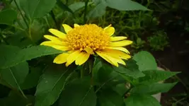 K640_17.Juli 2010 076.webp