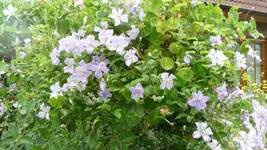 K640_17.Juli 2010 051.webp