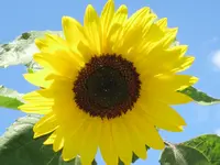 IMG_9816.webp