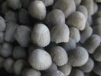 IMG_1913-1800.webp