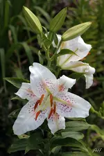 blog_0483-Muscadet.webp