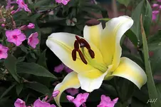 blog_0728-honeymoon.webp