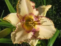 002.webp