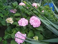 IMG_4045.webp