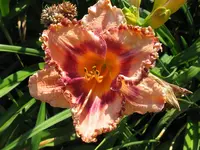 IMG_anja nr.1-2_1024x768.webp