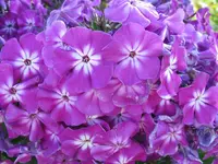 IMG_8275_1024x768.webp