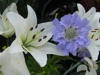 IMG_8280_1024x768.webp