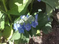 180720101038.webp
