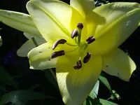 IMGP2917.webp
