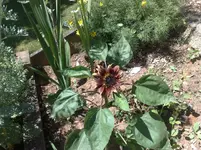 18072010997.webp