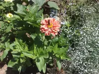 180720101000.webp