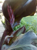180720101047.webp