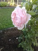 180720101025.webp