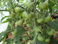 016.webp