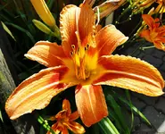 DSC07823.webp
