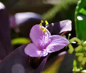 DSC07813.webp