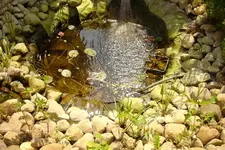 DSC03111.webp