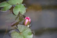 DSC04646.webp